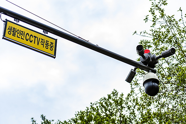 포토 JPG 주간 가로등 하늘 나뭇잎 안전 사람없음 야외 사회이슈 보안 감시카메라 국내포토 자연요소 공공시설 컨셉 잎 카메라 파일형식