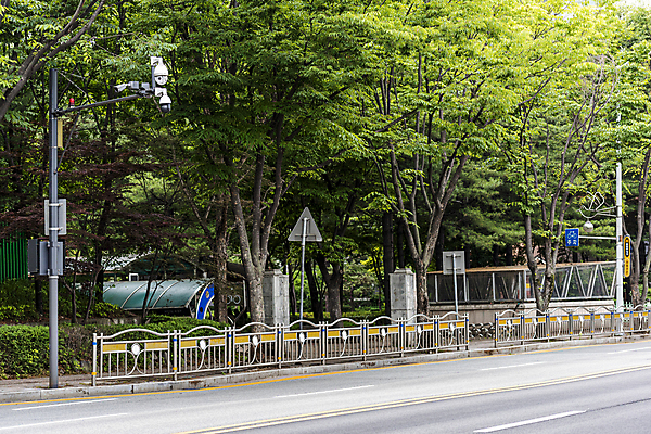 포토 JPG 주간 나무 도로 가로등 안전 사람없음 야외 보행로 사회이슈 보안 교통안전 감시카메라 국내포토 자연요소 식물 공공시설 길 컨셉 교통시설 카메라 파일형식