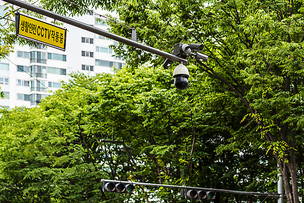 포토 JPG 주간 나무 안전 사람없음 야외 사회이슈 보안 감시카메라 국내포토 자연요소 식물 컨셉 카메라 파일형식