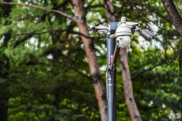 포토 JPG 주간 나무 가로등 안전 사람없음 야외 아웃포커스 사회이슈 보안 감시카메라 국내포토 자연요소 식물 공공시설 컨셉 촬영기법 카메라 파일형식