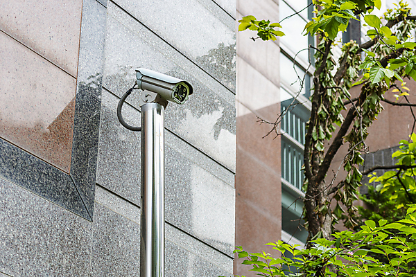 포토 JPG 주간 나무 벽 가로등 안전 사람없음 야외 사회이슈 보안 감시카메라 국내포토 자연요소 식물 공공시설 컨셉 카메라 파일형식