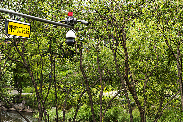 포토 JPG 주간 나무 가로등 안전 사람없음 야외 사회이슈 보안 감시카메라 국내포토 자연요소 식물 공공시설 컨셉 카메라 파일형식