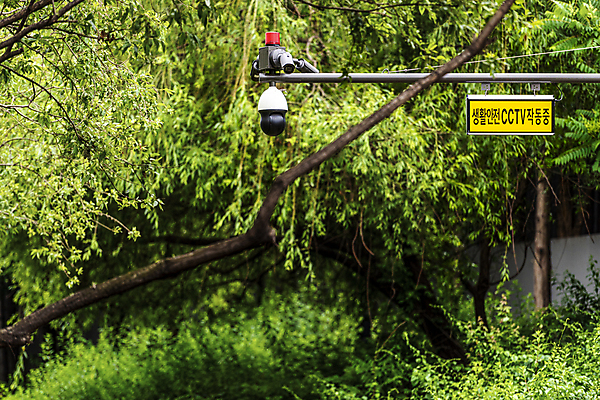 포토 JPG 주간 나무 가로등 안전 사람없음 야외 사회이슈 보안 감시카메라 국내포토 자연요소 식물 공공시설 컨셉 카메라 파일형식