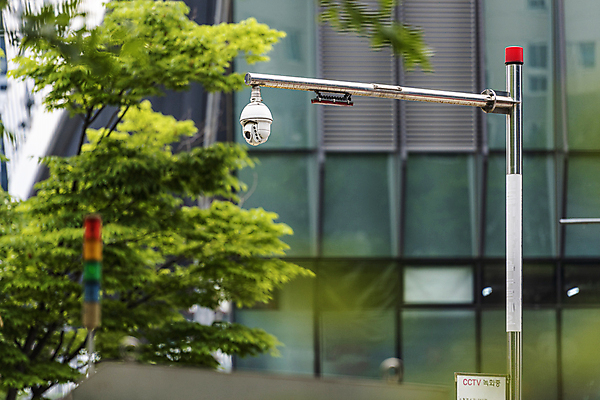 포토 JPG 주간 나무 가로등 안전 사람없음 야외 건물 사회이슈 보안 감시카메라 국내포토 자연요소 식물 건축물 공공시설 컨셉 카메라 파일형식