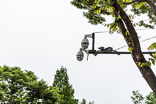 포토 JPG 주간 나무 가로등 하늘 안전 사람없음 야외 사회이슈 보안 감시카메라 국내포토 자연요소 식물 공공시설 컨셉 카메라 파일형식