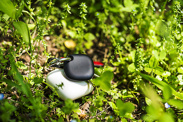 포토 JPG 주간 스마트라이프 근접촬영 사람없음 야외 아웃포커스 스마트기기 풀 사회이슈 보안 블루투스 무선이어폰 위치추적 정보기기 웨어러블 4차산업 스마트태그 국내포토 자연요소 식물 라이프스타일 산업 뷰포인트 이어폰 컨셉 촬영기법 안전 전자제품 기계 추적 파일형식