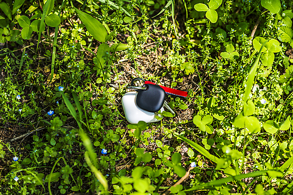 포토 JPG 주간 스마트라이프 사람없음 야외 스마트기기 풀 사회이슈 보안 블루투스 무선이어폰 위치추적 정보기기 웨어러블 4차산업 스마트태그 국내포토 자연요소 식물 라이프스타일 산업 이어폰 컨셉 안전 전자제품 기계 추적 파일형식