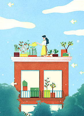 PSD 여자 토마토 여러마리 일러스트 조류 하늘 아파트 한명 들기 풍경 상반신 성인 여름 고양이 물뿌리개 도시 무 옥상 레몬 허브 물주기 원예 파 텃밭 성인여자한명만 반려묘 홈파밍 자급자족라이프 국내일러스트 식물 동물 1 라이프스타일 계절 다수 밭 채소 과일 포유류 모션 주택 뿌리채소 사람 취미 반려동물 농사 여자한명만 성인여자만 파일형식