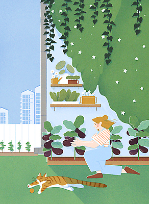 전신 PSD 한마리 여자 일러스트 가지 아파트 주택 한명 성인 여름 정원 농사 고양이 도시 덩굴 무릎꿇기 텃밭 성인여자한명만 반려묘 홈파밍 자급자족라이프 국내일러스트 식물 1 라이프스타일 계절 밭 농업 채소 포유류 모션 사람 건물 반려동물 여자한명만 성인여자만 파일형식