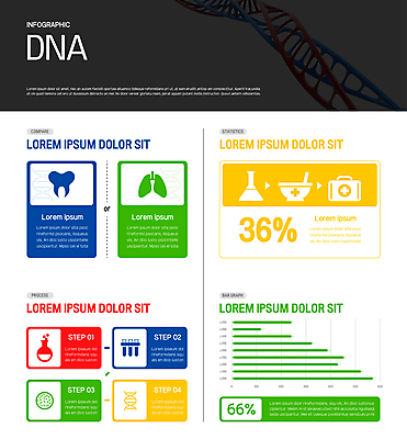 일러스트 그래프 사람없음 약 인포그래픽 허파 치아 DNA 플라스크 막자사발 진료가방 진찰가방 국내일러스트 AI파일 의학 실험기구 진료 소화기관 사발 호흡기관 생명공학 파일형식 벡터