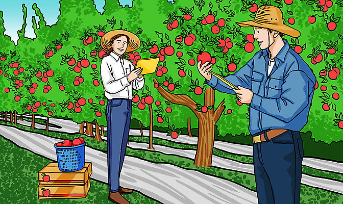 전신 PSD 여자 남자 일러스트 서기 들기 상반신 성인 두명 초록색 기록 사과 과수원 밀짚모자 사과나무 사과바구니 사과상자 서류판 성인만 청년농부 국내일러스트 나무 모자_잡화 컬러 농업 과일 모션 사람 상자 바구니 사무용품 농부 파일형식