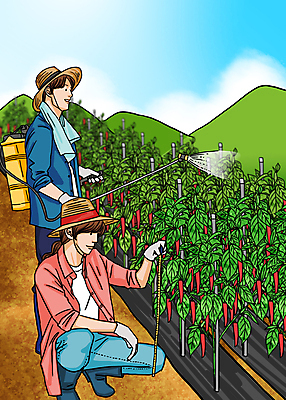 전신 PSD 여자 남자 일러스트 고추 하늘 산 줄자 서기 들기 앉기 성인 두명 수건 무릎꿇기 밀짚모자 농약살포기 농약치기 성인만 청년농부 압축분무기 국내일러스트 모자_잡화 농업 채소 모션 자 사람 위생용품 농부 분무기 파일형식