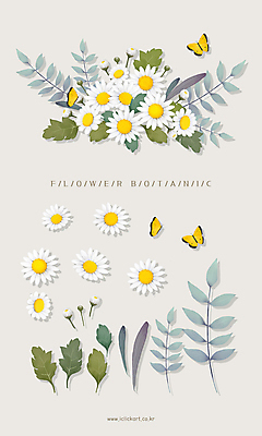 PSD 꽃잎 꽃다발 나비 잎 여러마리 일러스트 사람없음 흰색 오브젝트 꽃봉오리 데이지 엘리먼트 국내일러스트 식물 꽃 컬러 다수 곤충 파일형식