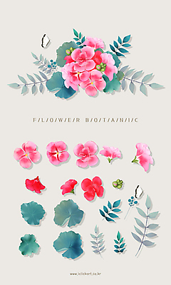 PSD 한마리 꽃잎 분홍색 꽃다발 나비 잎 일러스트 사람없음 오브젝트 꽃봉오리 엘리먼트 제라늄 국내일러스트 식물 1 꽃 컬러 곤충 파일형식