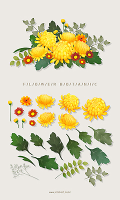 PSD 꽃잎 꽃다발 잎 일러스트 국화 사람없음 노란색 오브젝트 꽃봉오리 안개꽃 엘리먼트 국내일러스트 식물 꽃 컬러 한해살이풀 파일형식