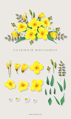 PSD 꽃잎 꽃다발 잎 일러스트 사람없음 노란색 제비꽃 오브젝트 꽃봉오리 데이지 엘리먼트 국내일러스트 식물 꽃 컬러 파일형식