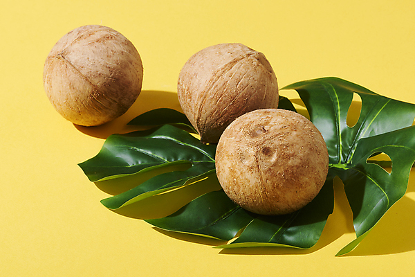 포토 JPG 스튜디오촬영 실내 사람없음 열대과일 코코넛 노란배경 열대잎 국내포토 백그라운드 잎 과일 내부 노란색 파일형식