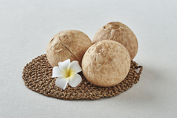 포토 JPG 스튜디오촬영 회색배경 실내 사람없음 열대과일 플루메리아 코코넛 테이블매트 국내포토 꽃 백그라운드 과일 내부 회색 식탁보 파일형식