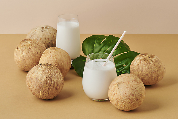 포토 JPG 스튜디오촬영 잔 실내 빨대 사람없음 열대과일 코코넛 열대잎 갈색배경 코코넛밀크 국내포토 식기 백그라운드 잎 과일 내부 갈색 파일형식