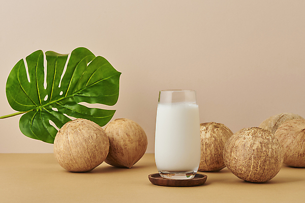 포토 JPG 스튜디오촬영 잔 실내 사람없음 열대과일 코코넛 나무받침 열대잎 갈색배경 코코넛밀크 국내포토 식기 백그라운드 잎 과일 내부 목재 갈색 받침대 파일형식