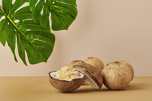 포토 JPG 스튜디오촬영 실내 사람없음 칩 열대과일 담기 슬라이스 코코넛 열대잎 갈색배경 국내포토 백그라운드 잎 과일 모션 디저트 내부 갈색 파일형식