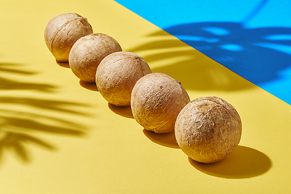 포토 JPG 스튜디오촬영 실내 그림자 사람없음 열대과일 파란배경 일렬 코코넛 노란배경 열대잎 국내포토 백그라운드 잎 과일 내부 파란색 노란색 파일형식