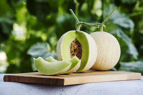 포토 JPG 주간 단면 씨앗 사람없음 야외 아웃포커스 멜론 특산물 슬라이스 강원도 춘천 나무도마 국내포토 자연요소 식물 과일 도마 한국 촬영기법 목재 파일형식