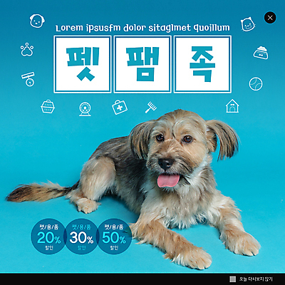 PSD 템플릿 한마리 ZIP 웹템플릿 하늘색 팝업 이벤트팝업 웹팝업 사람없음 세일 강아지 빅팝업 펫팸족 믹스견 이미지템플릿 반려용품 1 파란색 반려동물 개 오브젝트 신조어 파일형식