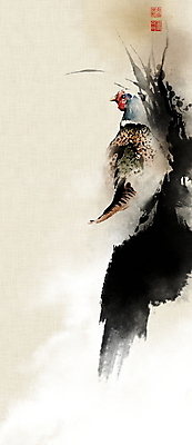 PSD 한마리 일러스트 캘리그라피 붓터치 사람없음 풀 동양화 한지 언덕 번짐 낙관 꿩 화조화 국내일러스트 식물 1 종이 조류 미술 파일형식 효과