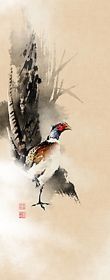 PSD 한마리 일러스트 캘리그라피 붓터치 사람없음 풀 동양화 한지 나무기둥 번짐 낙관 꿩 화조화 국내일러스트 식물 1 종이 조류 미술 파일형식 효과