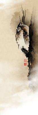 PSD 나무 한마리 일러스트 캘리그라피 붓터치 앉기 풍경 사람없음 안개 나뭇가지 동양화 한지 번짐 부엉이 낙관 화조화 국내일러스트 식물 1 종이 모션 조류 날씨 미술 파일형식 효과