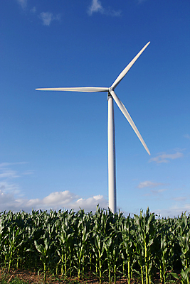 포토 JPG 해외이미지 산업 밭 농업 날개 자연 하늘 안테나 풍경 초록색 여름 파란색 환경 힘 재활용 풍차 에너지 풍력에너지 땅 내추럴 방앗간 타격 세련 해외포토 계절 컬러 통신 모션 그린에너지 친환경 생태계 파일형식 이미지허브