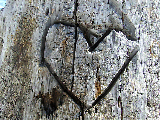 포토 JPG 해외이미지 나무 사랑 목재 하트 마음 시골 목각 해외포토 모양 식물 감정 재료 파일형식 이미지허브