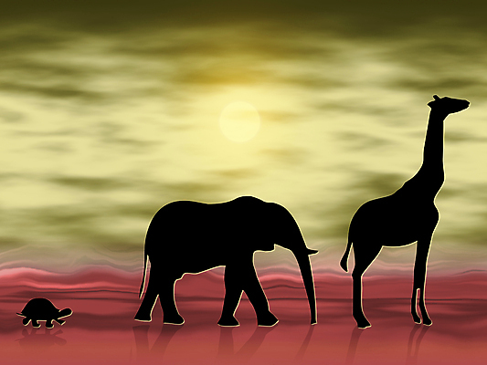 포토 JPG 해외이미지 동물 구름 실루엣 야생동물 모래 일러스트 아프리카 벽지 하늘 코끼리 풍경 그래픽 태양 반사 맑음 산책 사막 뜨거움 거북이 고독 기린 혼자 해외포토 자연요소 감정 나라 포유류 파충류 날씨 휴식 촬영기법 파일형식 이미지허브