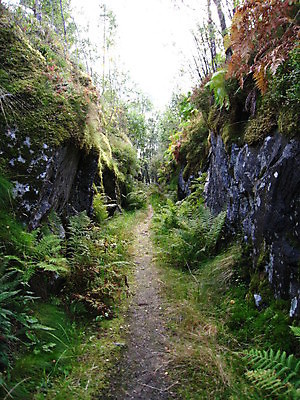 포토 JPG 해외이미지 독일 노르웨이 죽음 성 공군 러시아 해군 소련 해외포토 건축물 유럽 군대 파일형식 이미지허브
