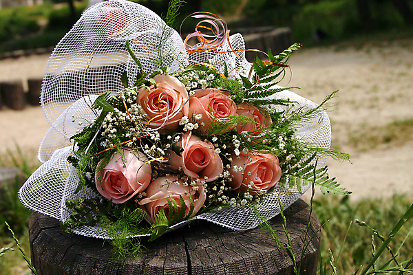 포토 JPG 해외이미지 커플 드레스 여자 꽃 행복 분홍색 꽃다발 결혼 잎 신혼부부 결혼식 사랑 이벤트 성인 옆모습 장식 뷰티 장미 흰색 축하 아내 가운 다발 배열 베일 통일 해외포토 식물 부부 옷 감정 뷰포인트 컬러 컨셉 관계 사람 신혼 파일형식 이미지허브