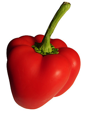 포토 JPG 해외이미지 음식 다이어트 채소 과일 재료 고추 파프리카 건강 빨간색 샐러드 신선 닫기 달콤 맛 상추 자르기 싱글 유기농 부드러움 후추 내추럴 고립 바이오 숙성 식용 차단 해외포토 웰빙 컬러 컨셉 모션 감각 향신료 파일형식 이미지허브