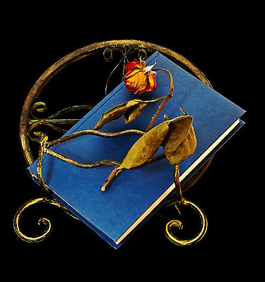 포토 JPG 해외이미지 꽃 검은배경 건조 책 빨간색 장미 검은색 시들음 고립 해외포토 식물 컬러 백그라운드 파일형식 이미지허브