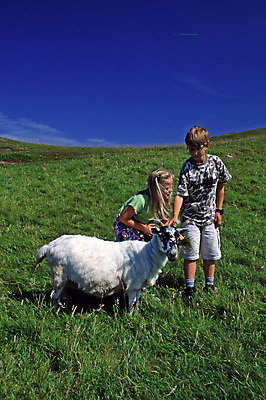 포토 JPG 해외이미지 동물 어린이 휴가 영국 금발 스코틀랜드 해외포토 헤어스타일 유럽 사람 파일형식 이미지허브