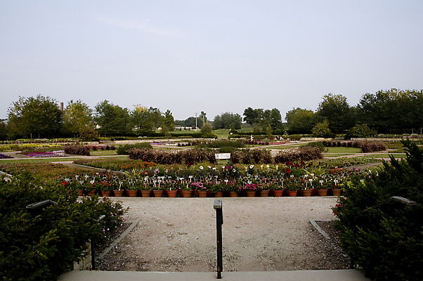 포토 JPG 해외이미지 나무 자연 가로 컬러풀 평화 정원 환경보전 해외포토 식물 컬러 컨셉 사회이슈 생태계 파일형식 이미지허브