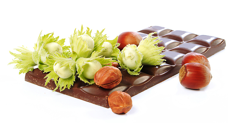 포토 JPG 해외이미지 모양 식물 라이프스타일 음식 조각 백그라운드 낙엽 채소 재료 부분 추상 디저트 건강 사랑 갈색 초콜릿 어둠 블록 견과류 흰색 바 고급 달콤 아침식사 유혹 자르기 먹기 큐브 상쾌 정사각형 중독 흙더미 개암나무 핵심 솔깃 맛있는 해외포토 도형 나무 감정 컬러 컨셉 잎 무늬 모션 생활 식사 흙 맛 파일형식 더미 이미지허브