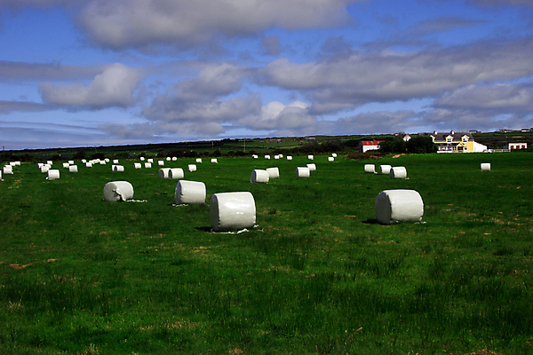 포토 JPG 해외이미지 나무 음식 밭 농업 자연 하늘 주택 건조 야외 초록색 농작물 농가 농장 농경지 쌓기 수확 시골 원형 볏짚 농부 먹이 땅 두루마리 아일랜드 뭉치 밀짚 밭일 서쪽 해외포토 도형 식물 직업 유럽 산업 컬러 모션 건물 짚 방향 생태계 파일형식 이미지허브