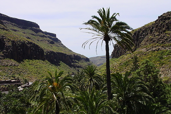 포토 JPG 해외이미지 공원 산 손바닥 스페인 해외포토 손 공공시설 유럽 파일형식 이미지허브