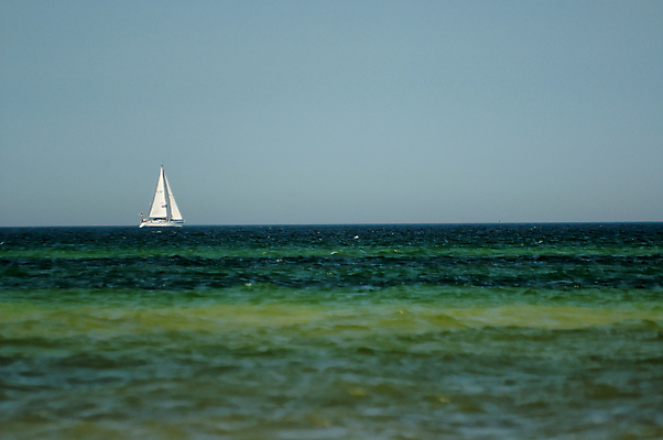 포토 JPG 해외이미지 나무 모래 파도 바다 요트 벽지 하늘 풍경 물 여름 파란색 태양 노란색 흰색 보트 뿌리 송곳니 해외포토 레이스천 자연요소 식물 계절 컬러 배_교통 직물 치아 파일형식 이미지허브