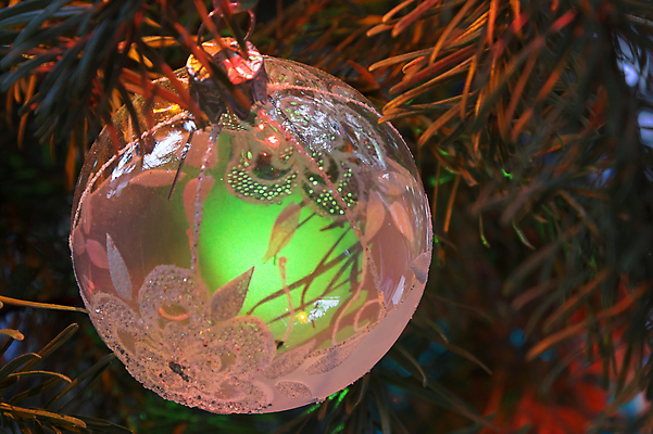 포토 JPG 해외이미지 나무 계절 행복 어린이 크리스마스 겨울 패턴 공 가족 유리 휴가 기념 선물 장식 빨간색 초록색 컬러풀 산타클로스 금속 축제 장식볼 흰색 원형 12월 호기심 주기 전나무 고립 클라우스 해외포토 도형 식물 기념일 감정 컬러 컨셉 무늬 관계 모션 재질 사람 날짜 파일형식 이미지허브