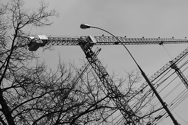포토 JPG 해외이미지 하늘 건물 봄 전선 나뭇가지 등불 기중기 해외포토 나무 건축물 계절 조명 중장비 파일형식 이미지허브