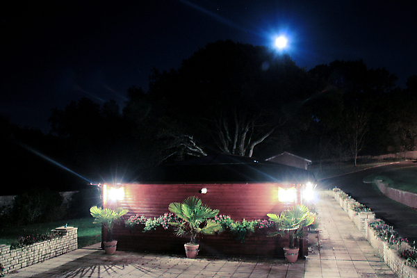 포토 JPG 해외이미지 식물 전등 빛 달 야간 달빛 해외포토 자연요소 조명 파일형식 이미지허브