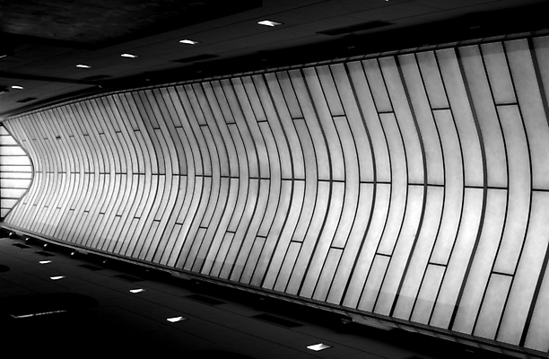 포토 JPG 해외이미지 건축양식 하늘 흑백 가로 어둠 역사 천장 각도 노력 암스테르담 옛날 해외포토 건축 촬영기법 네덜란드 파일형식 이미지허브