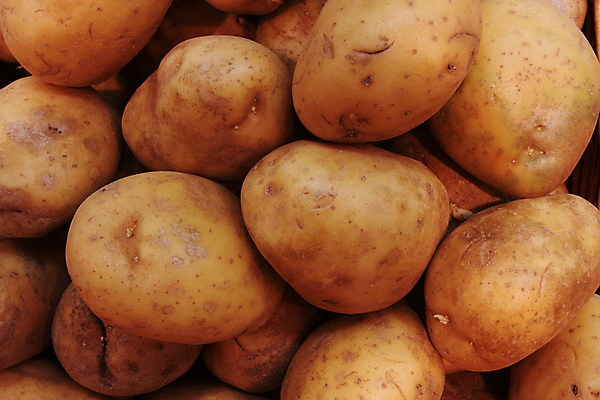 포토 JPG 해외이미지 감자 실내 사람없음 여러개 가득함 해외포토 다수 채소 내부 파일형식 이미지허브