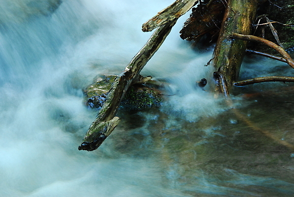 포토 JPG 해외이미지 나무 초록색 물 파란색 갈색 나뭇가지 개울 해외포토 자연요소 식물 컬러 강 파일형식 이미지허브